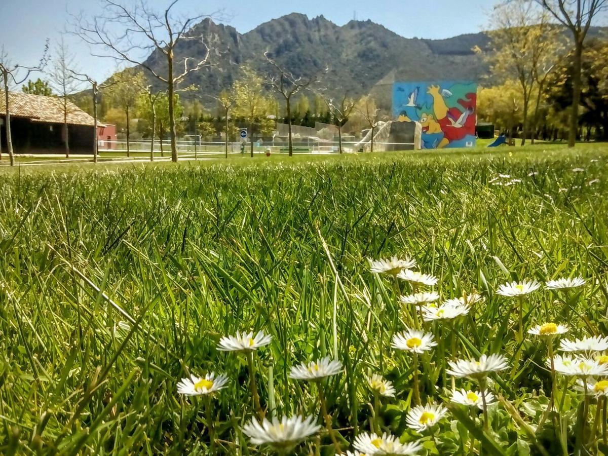 Camping Iratxe Ciudad De Vacaciones Ayegui Esterno foto
